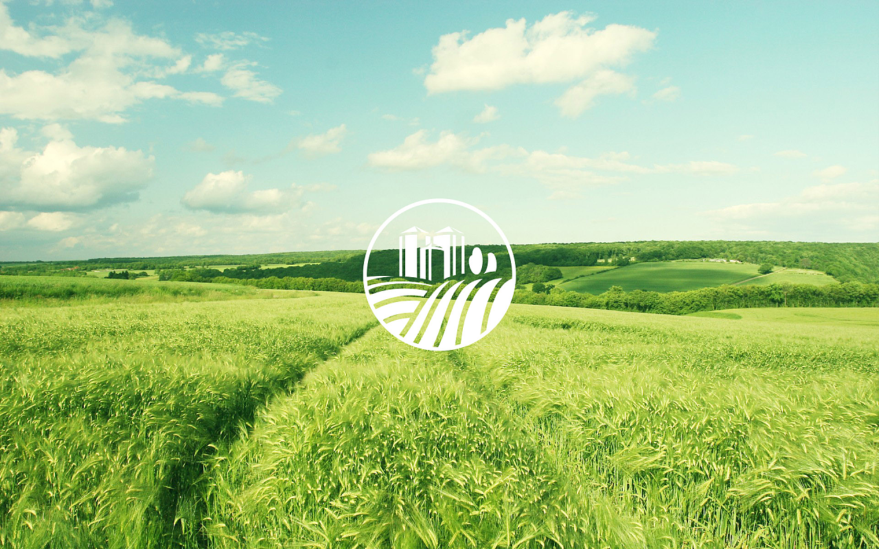 我出沒(méi)熊注意——探索綠色食品企業(yè)的LOGO設(shè)計(jì)理念