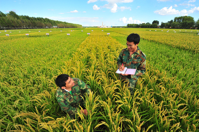 北大荒 青春好年華 蓄勢(shì)再揚(yáng)帆——寫在黑龍江墾區(qū)開(kāi)發(fā)建設(shè)七十周年之際